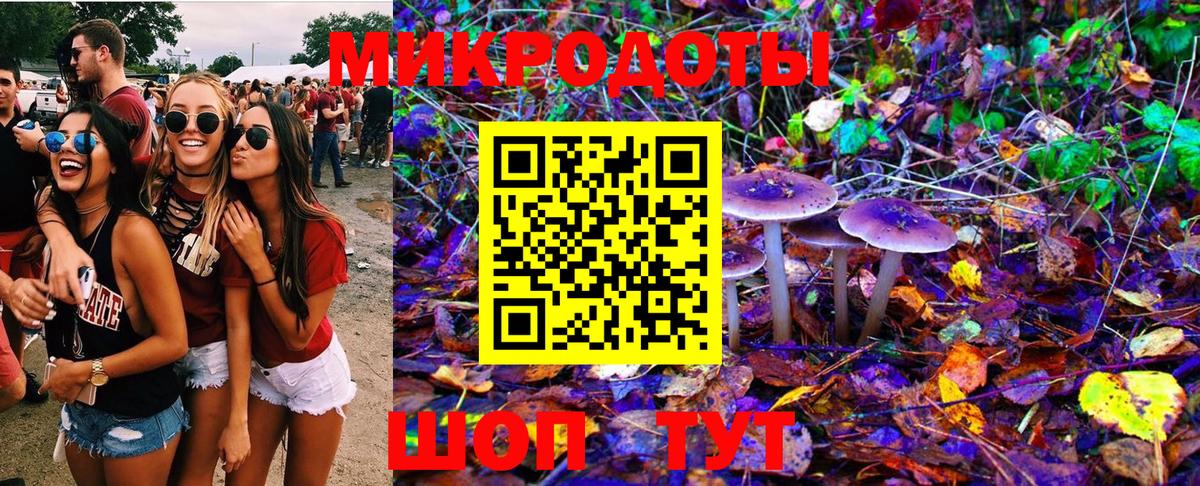 Псилоцибиновые грибы мухоморы Дивногорск